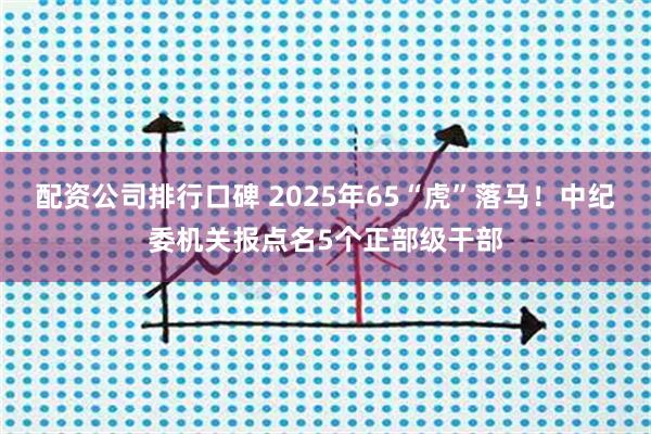 配资公司排行口碑 2025年65“虎”落马！中纪委机关报点名5个正部级干部