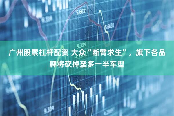 广州股票杠杆配资 大众“断臂求生”,旗下各品牌将砍掉至多一半车型